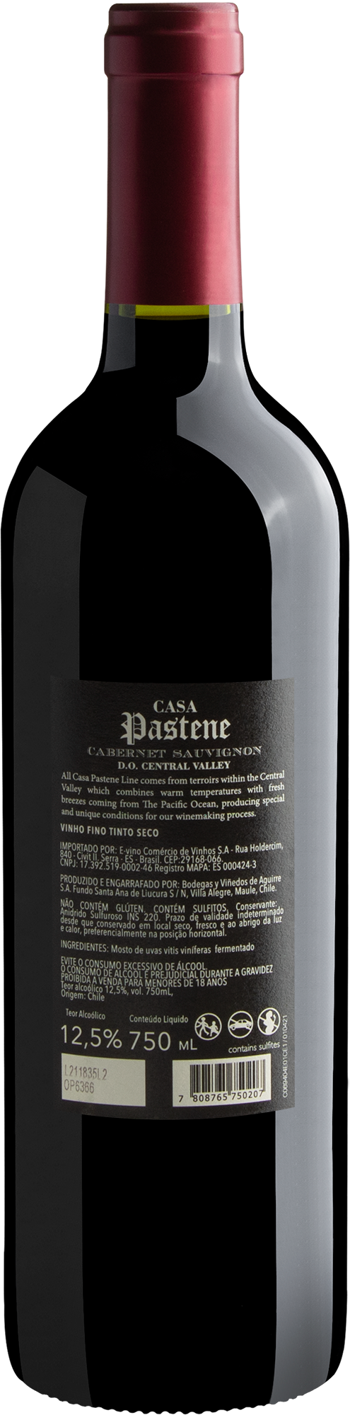 Casa Pastene Cabernet Sauvignon Central Valley D.O. 2021 2