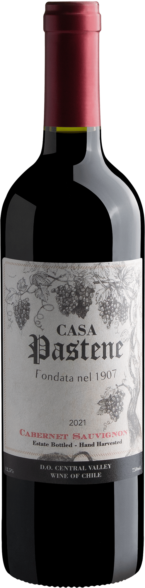 Casa Pastene Cabernet Sauvignon Central Valley D.O. 2021