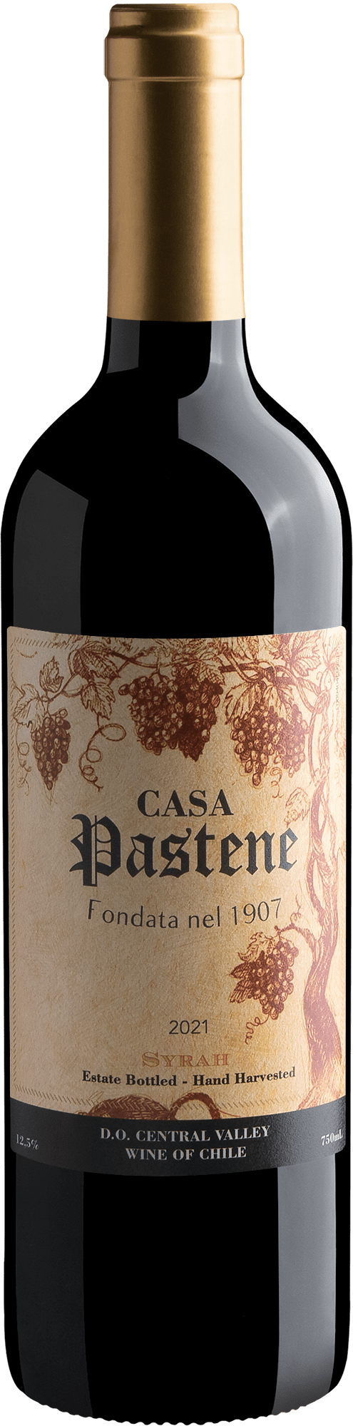 Casa Pastene Syrah Central Valley D.O. 2021