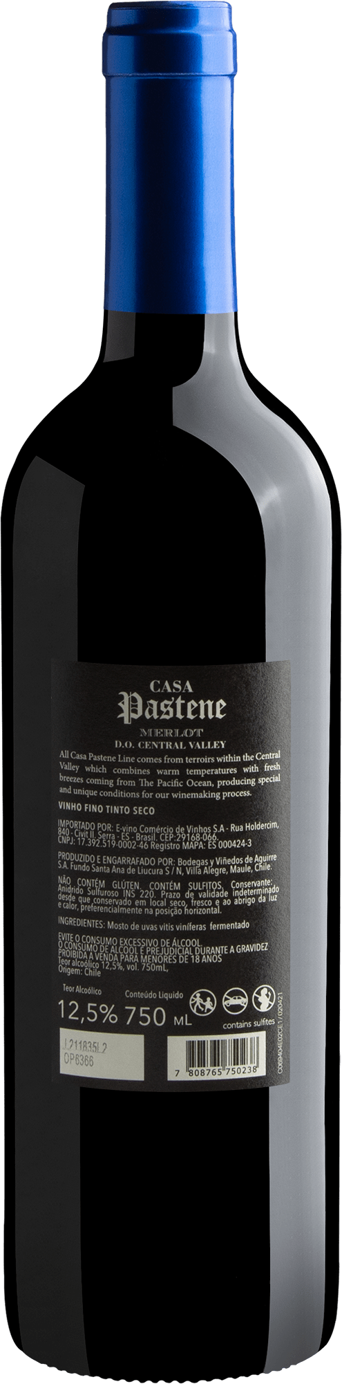 Casa Pastene Merlot Central Valley D.O. 2021 2