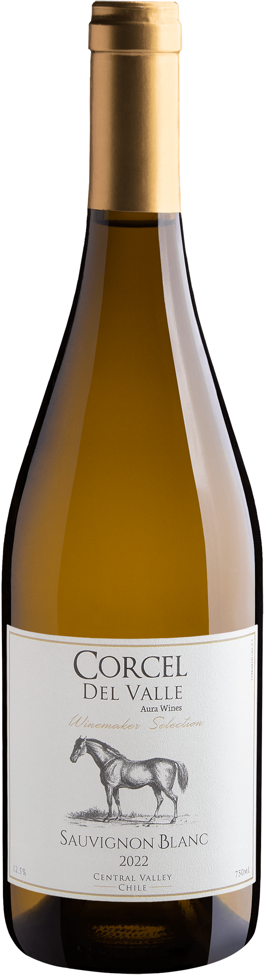 Corcel Del Valle Winemarker Selection Sauvignon Blanc Central Valley D.O. 2022