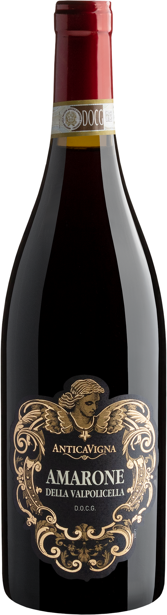 Antica Vigna Amarone della Valpolicella DOCG 2019