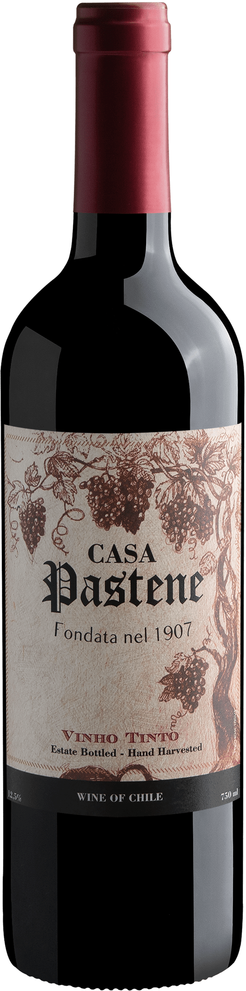 Casa Pastene Vinho Tinto