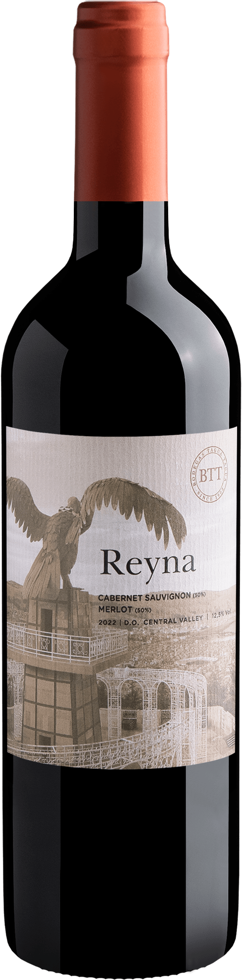 Reyna Cabernet Sauvignon-Merlot Central Valley D.O.