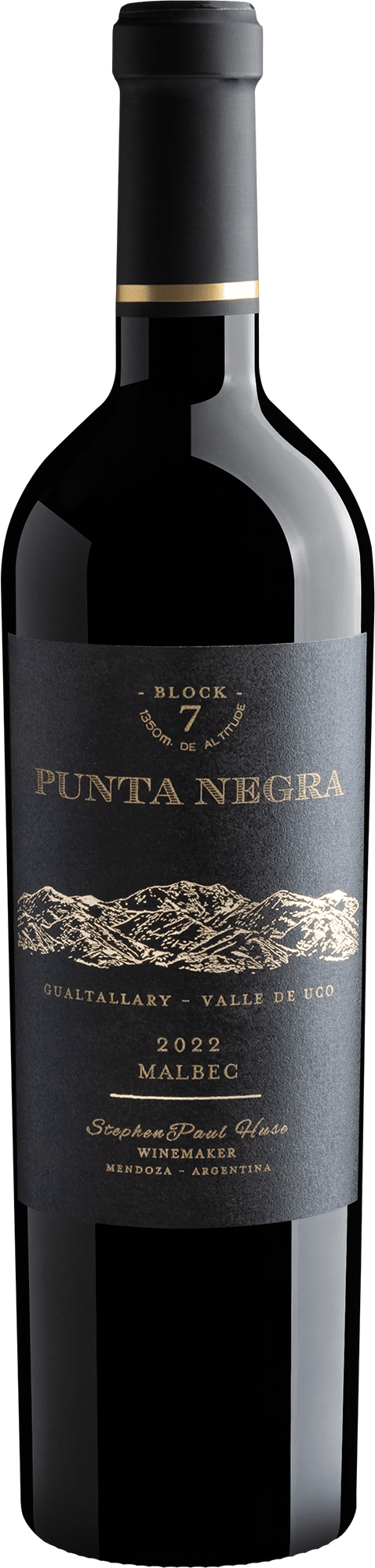 Punta Negra Block 7 Malbec 2022