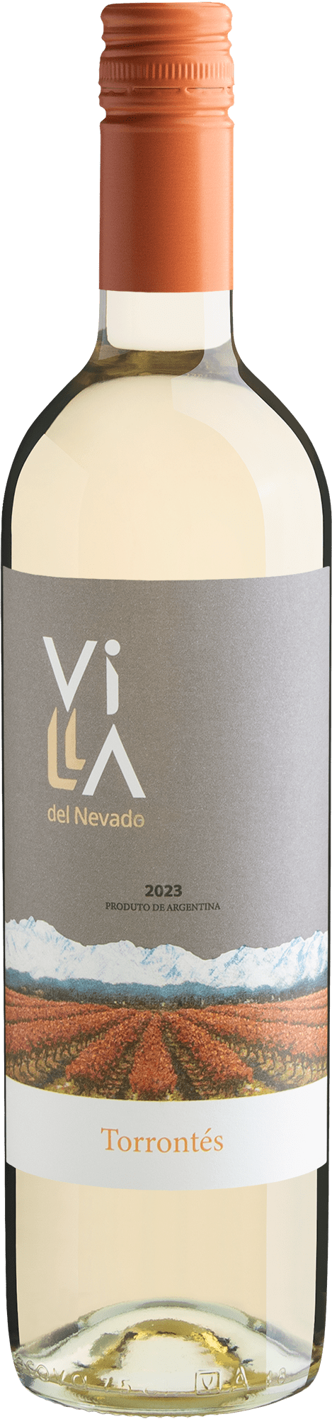 Villa del Nevado Torrontés