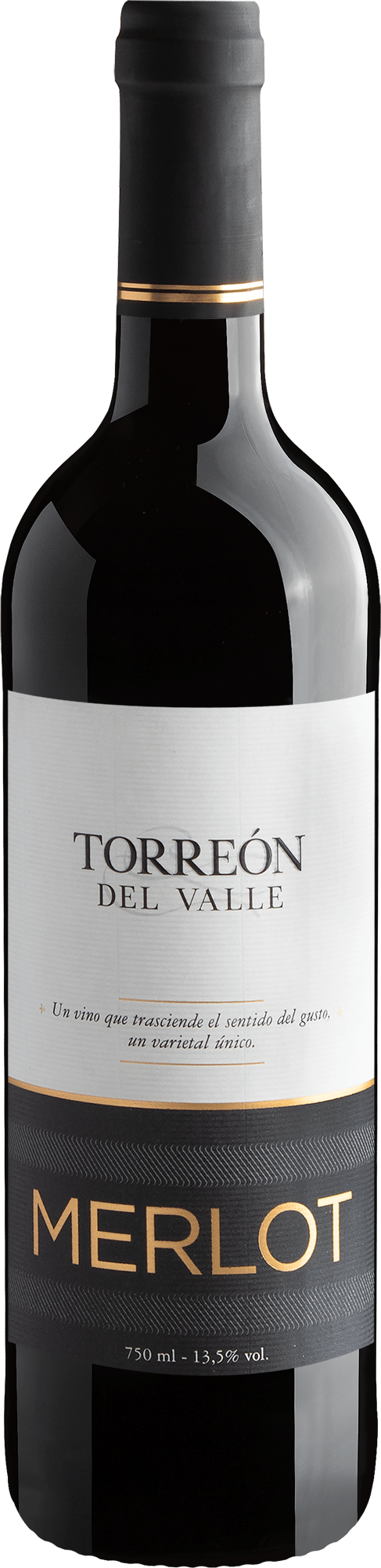 Terreón Del Valle Merlot