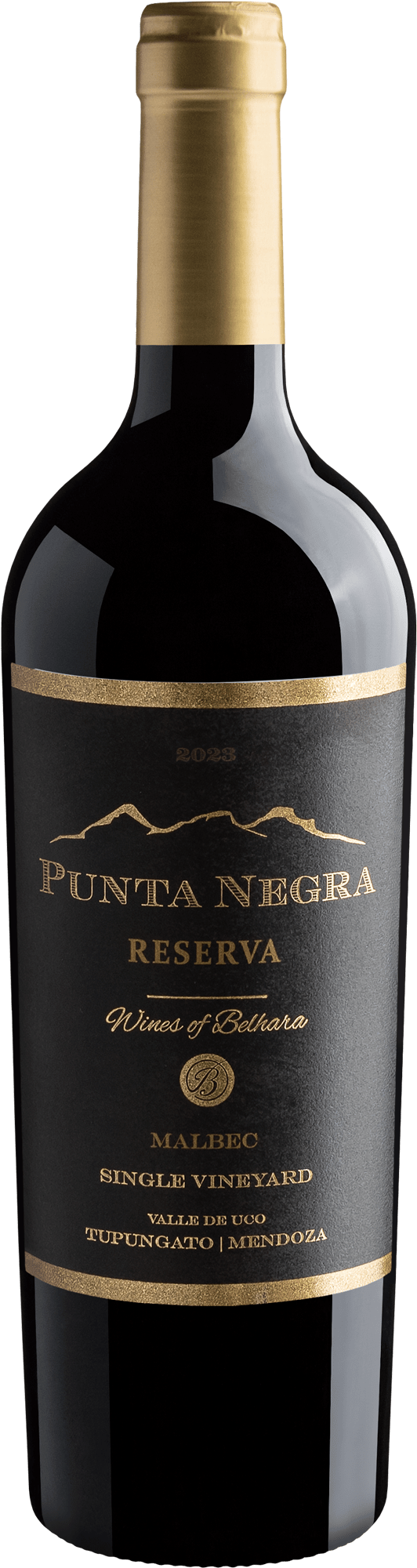Punta Negra Reserva Malbec Single Vineyard 2023