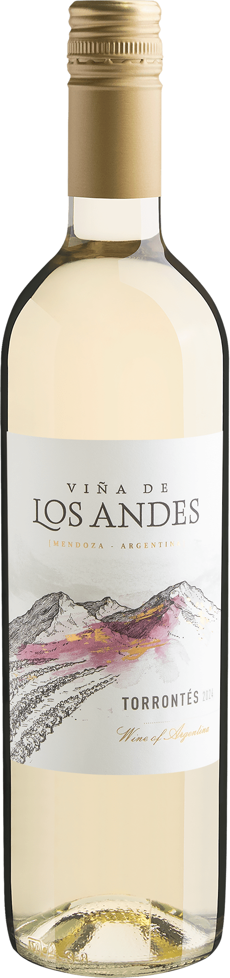 Viña de Los Andes Torrontés