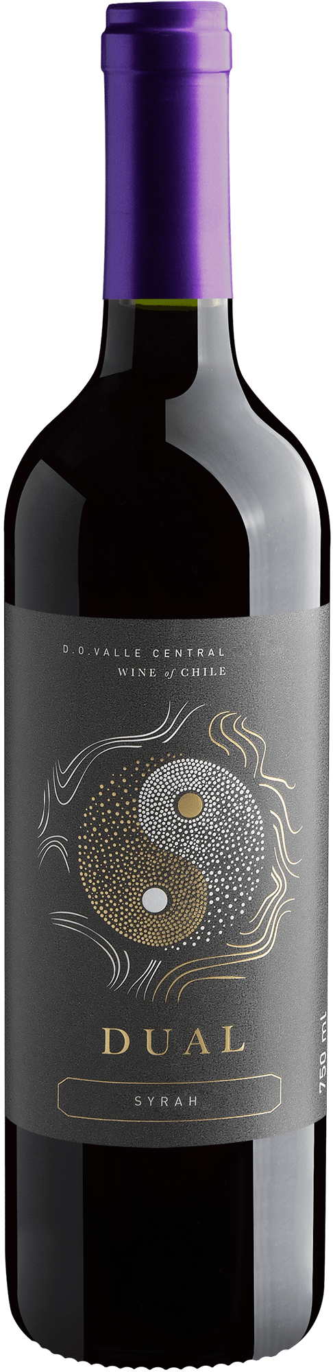 Dual Syrah Valle Central D.O.