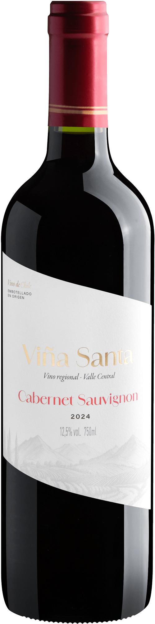 Viña Santa Cabernet Sauvignon