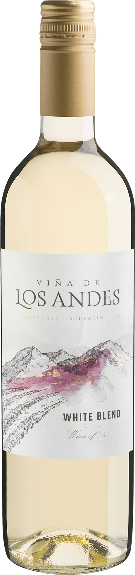 Viña de Los Andes White Blend