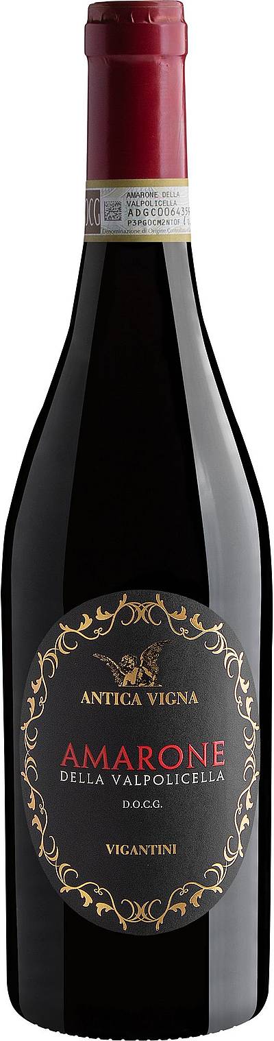Antica Vigna Amarone della Valpolicella DOCG 2022 | Evino