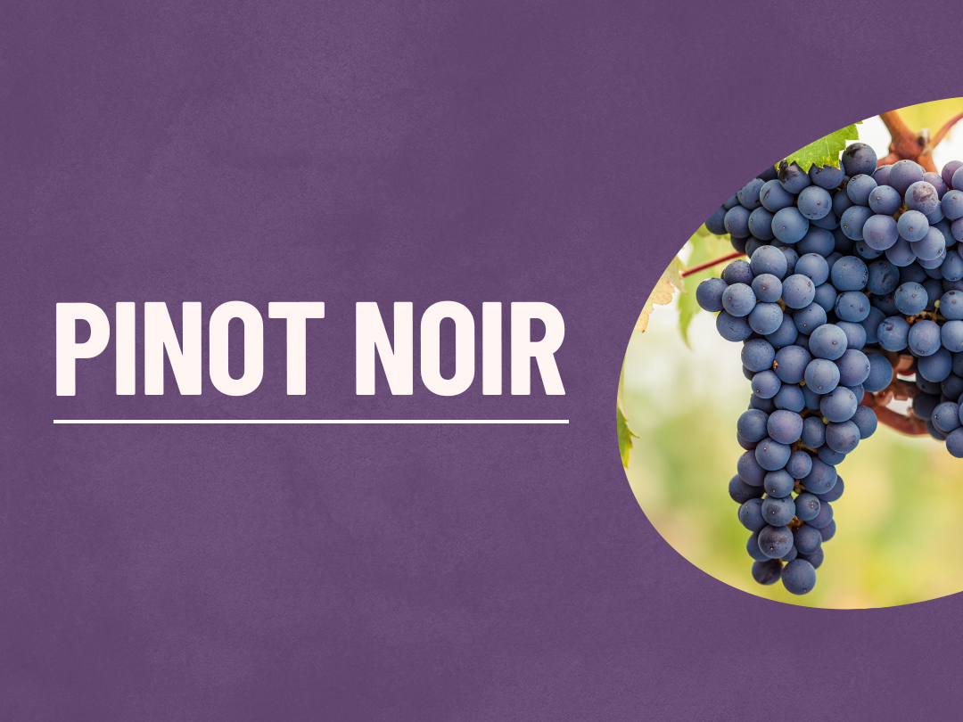 Tipos de Uva: Pinot