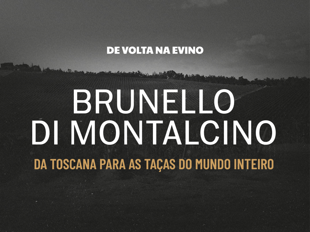 De volta na Evino: Campo Alle Noci Brunello di Montalcino