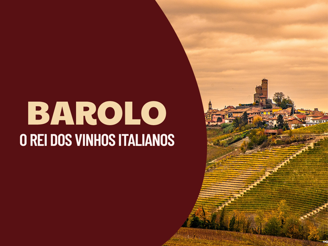 SELEÇÃO BAROLOS